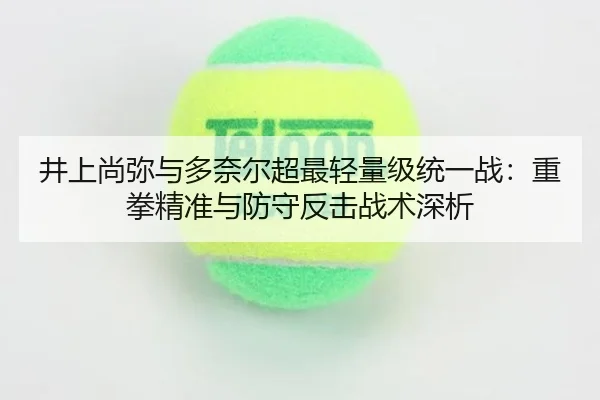 jing-shang-shang-mi-yu-duo-nai-er-chao-zui-qing-liang-ji-tong-yi-zhan-zhong-quan-jing-zhun-yu-fang-shou-fan-ji-zhan-shu-2-572.jpg